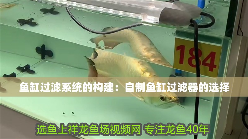 魚缸過濾系統(tǒng)的構(gòu)建：自制魚缸過濾器的選擇