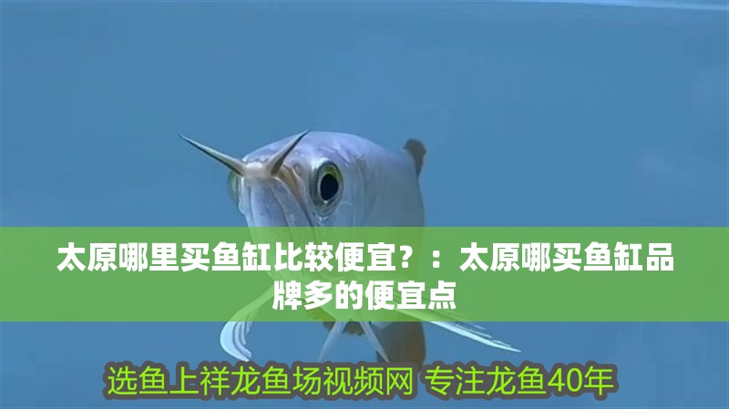 太原哪里買魚缸比較便宜？：太原哪買魚缸品牌多的便宜點