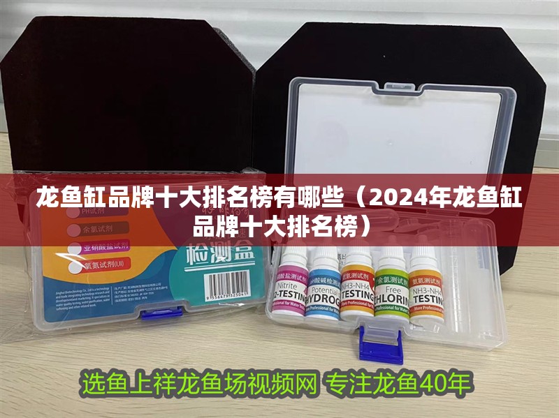 龍魚缸品牌十大排名榜有哪些（2024年龍魚缸品牌十大排名榜）