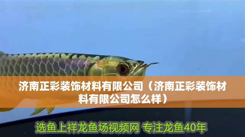 濟南正彩裝飾材料有限公司（濟南正彩裝飾材料有限公司怎么樣）