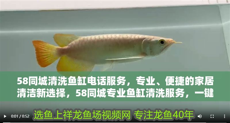 58同城清洗魚缸電話服務(wù)，專業(yè)、便捷的家居清潔新選擇，58同城專業(yè)魚缸清洗服務(wù)，一鍵預(yù)約，家居清潔更省心