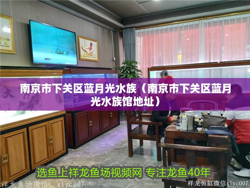 南京市下關區藍月光水族（南京市下關區藍月光水族館地址）