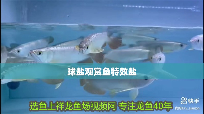 球鹽觀賞魚特效鹽