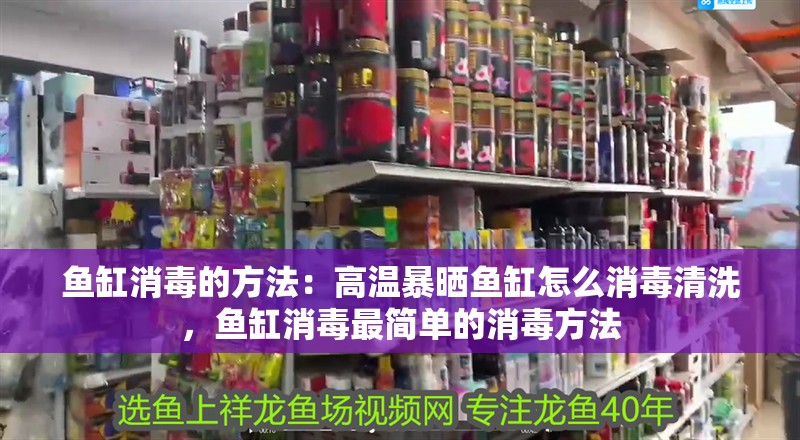 魚缸消毒的方法：高溫暴曬魚缸怎么消毒清洗，魚缸消毒最簡單的消毒方法