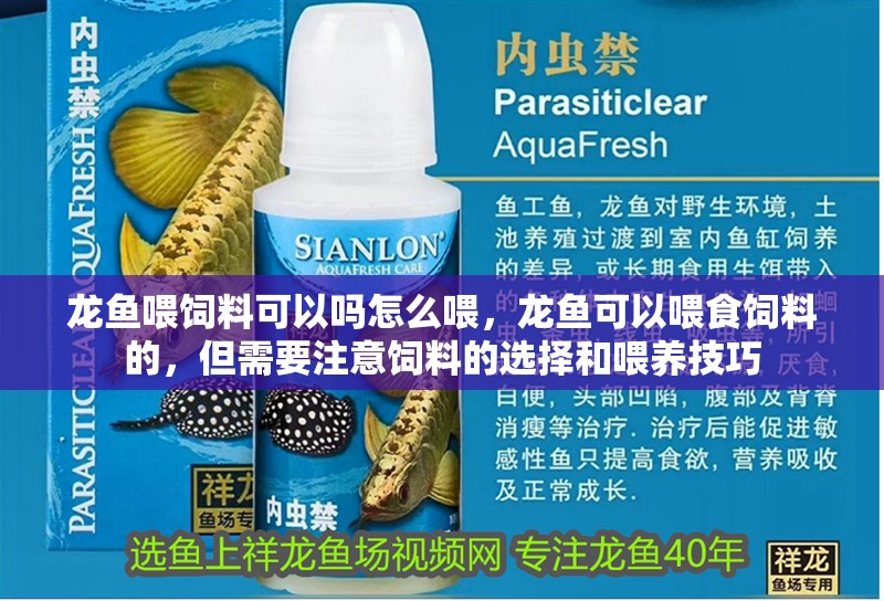 龍魚喂飼料可以嗎怎么喂，龍魚可以喂食飼料的，但需要注意飼料的選擇和喂養(yǎng)技巧