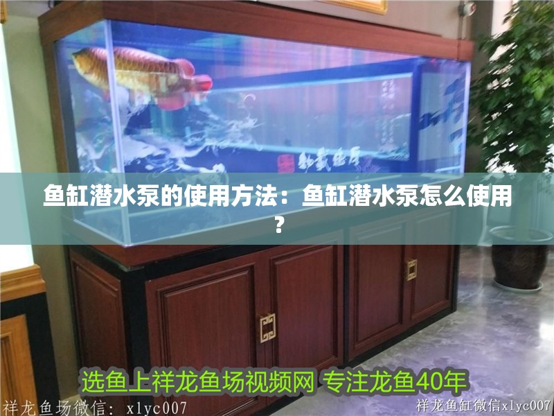 魚缸潛水泵的使用方法：魚缸潛水泵怎么使用？