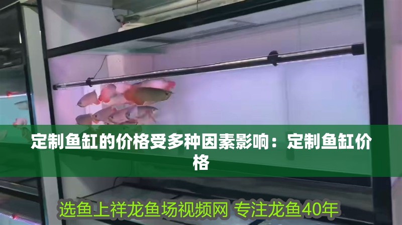 定制魚缸的價格受多種因素影響：定制魚缸價格