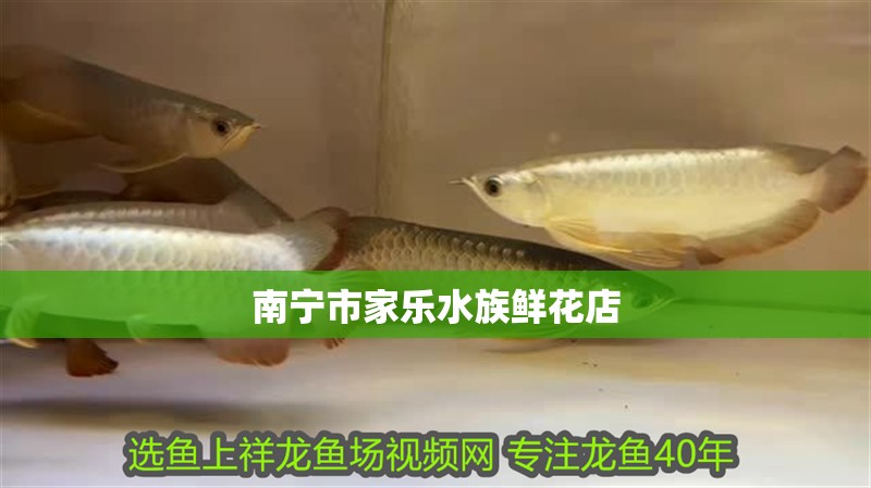 南寧市家樂水族鮮花店