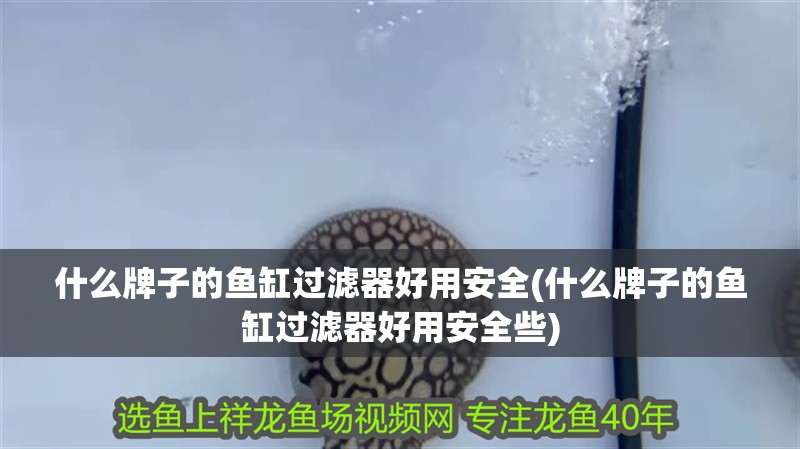 什么牌子的魚(yú)缸過(guò)濾器好用安全(什么牌子的魚(yú)缸過(guò)濾器好用安全些)