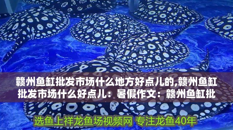 贛州魚缸批發市場什么地方好點兒的,贛州魚缸批發市場什么好點兒：暑假作文：贛州魚缸批發市場什么地方好點兒的 贛州魚缸批發市場什么地方好點兒的,贛州魚缸批發市場什么好點兒：暑假作文：贛州魚缸批發市場什么地方好點兒的 魚缸百科