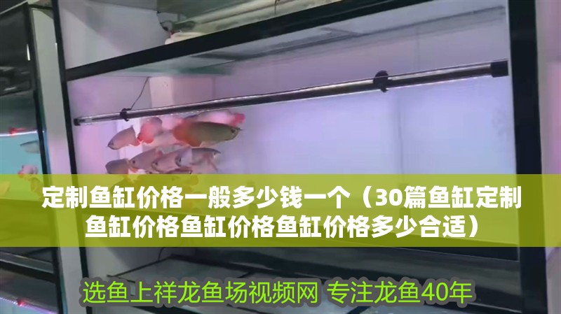 定制魚缸價格一般多少錢一個（30篇魚缸定制魚缸價格魚缸價格魚缸價格多少合適）