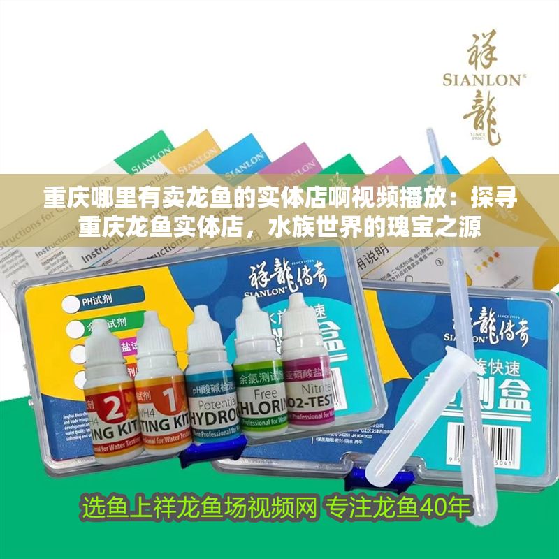 重慶哪里有賣龍魚的實體店啊視頻播放：探尋重慶龍魚實體店，水族世界的瑰寶之源