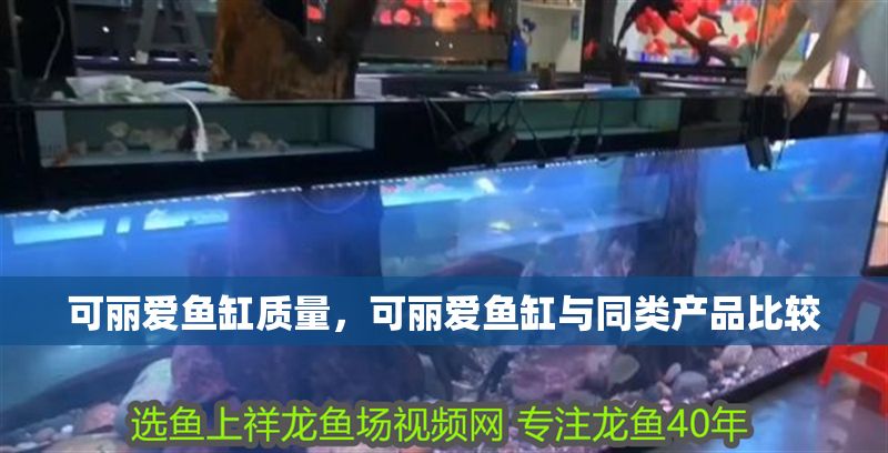 可麗愛魚缸質量，可麗愛魚缸與同類產品比較