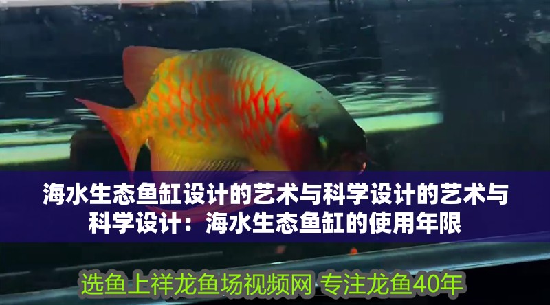 海水生態魚缸設計的藝術與科學設計的藝術與科學設計：海水生態魚缸的使用年限