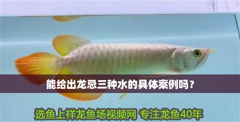 能給出龍忌三種水的具體案例嗎？ 能給出龍忌三種水的具體案例嗎？ 龍魚論壇