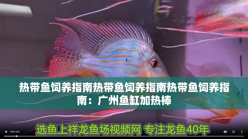 熱帶魚飼養(yǎng)指南熱帶魚飼養(yǎng)指南熱帶魚飼養(yǎng)指南：廣州魚缸加熱棒 熱帶魚飼養(yǎng)指南熱帶魚飼養(yǎng)指南熱帶魚飼養(yǎng)指南：廣州魚缸加熱棒 魚缸百科