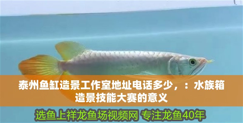 泰州魚缸造景工作室地址電話多少，：水族箱造景技能大賽的意義