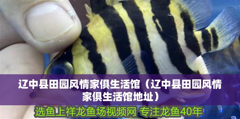 遼中縣田園風情家俱生活館（遼中縣田園風情家俱生活館地址）