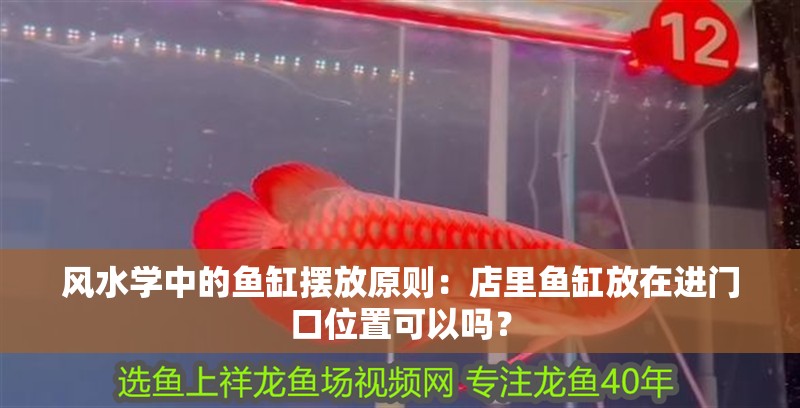 風水學中的魚缸擺放原則：店里魚缸放在進門口位置可以嗎？