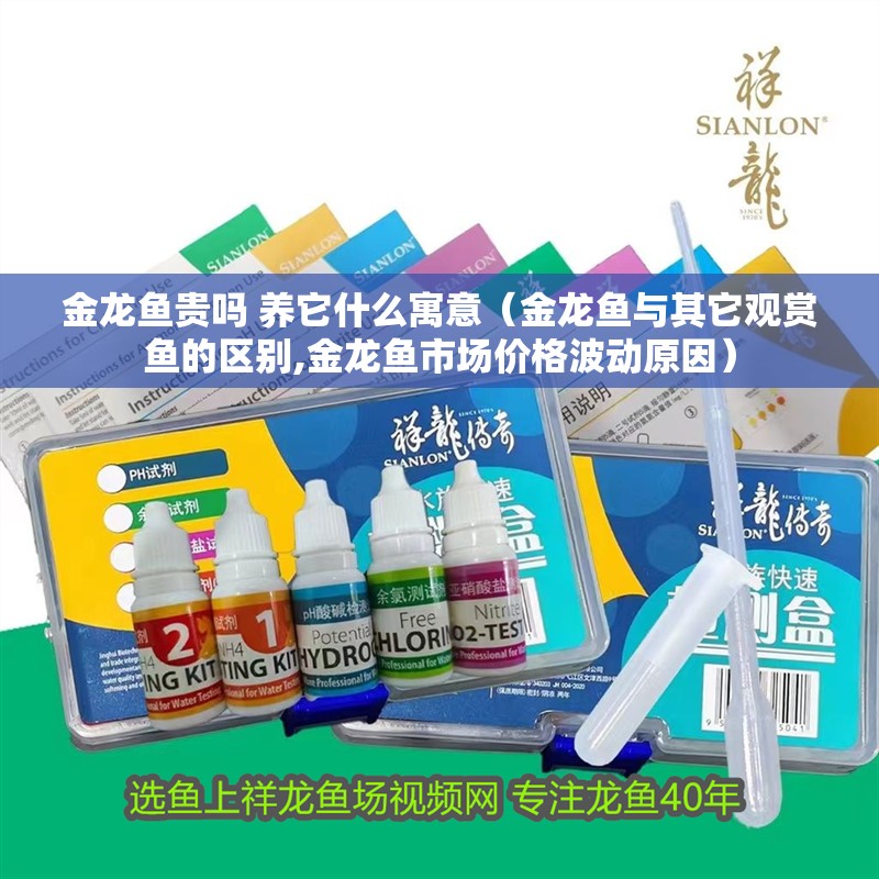 金龍魚貴嗎 養它什么寓意（金龍魚與其它觀賞魚的區別,金龍魚市場價格波動原因）