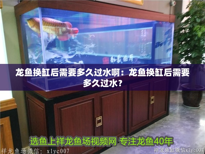 龍魚換缸后需要多久過水啊：龍魚換缸后需要多久過水？
