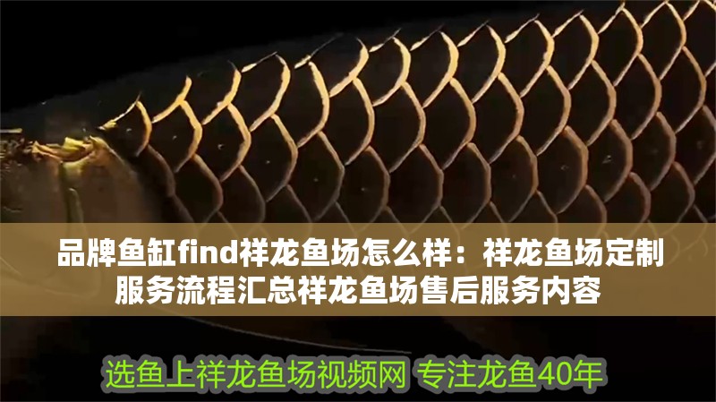 品牌魚缸find祥龍魚場怎么樣：祥龍魚場定制服務流程匯總祥龍魚場售后服務內容