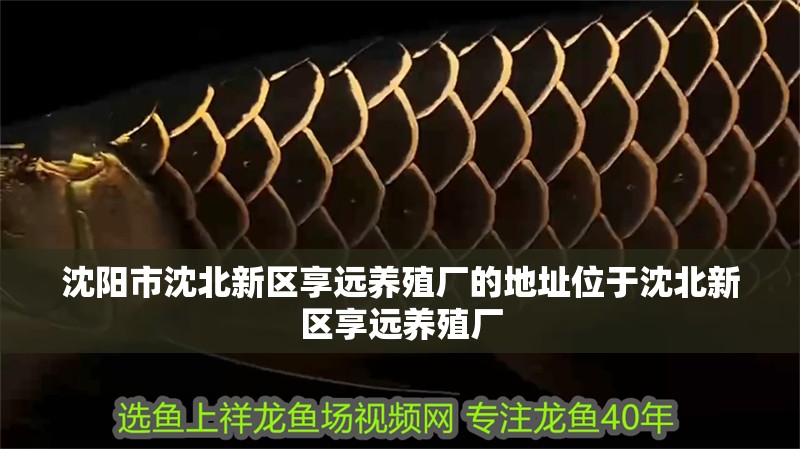 沈陽市沈北新區(qū)享遠(yuǎn)養(yǎng)殖廠的地址位于沈北新區(qū)享遠(yuǎn)養(yǎng)殖廠