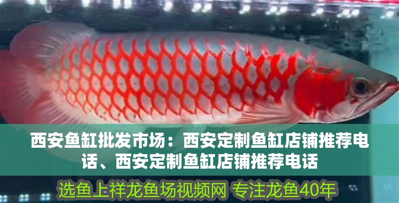 西安魚缸批發市場：西安定制魚缸店鋪推薦電話、西安定制魚缸店鋪推薦電話
