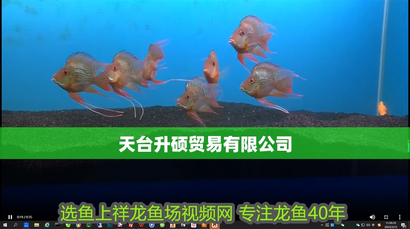 天臺升碩貿易有限公司 天臺升碩貿易有限公司 全國水族館企業名錄