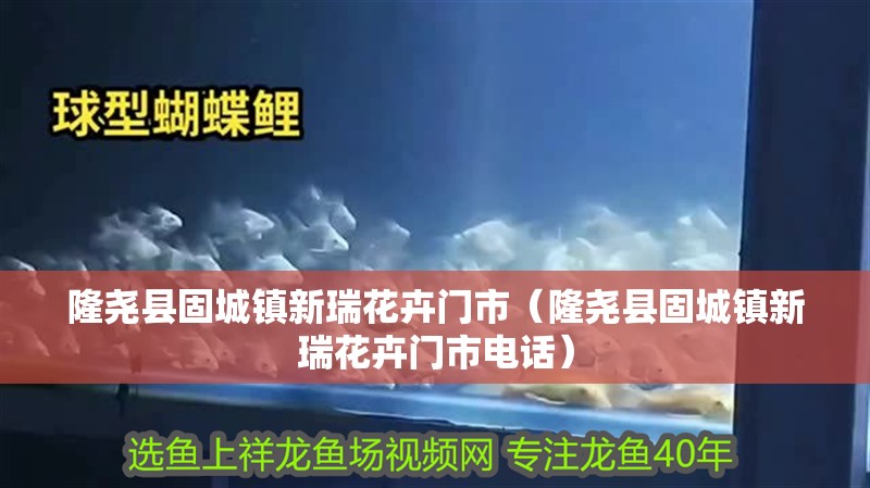 龍魚怕什么 隆堯縣固城鎮新瑞花卉門市(隆堯縣固城鎮新瑞花卉門市電話) 全國水族館企業名錄 隆堯縣固城鎮新瑞花卉門市(隆堯縣固城鎮新瑞花卉門市電話) 隆堯縣固城鎮新瑞花卉門市(隆堯縣固城鎮新瑞花卉門市電話) 全國水族館企業名錄