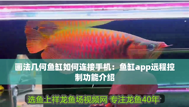 畫法幾何魚缸如何連接手機(jī)：魚缸app遠(yuǎn)程控制功能介紹