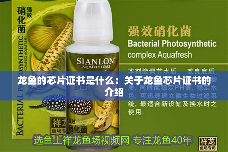龍魚的芯片證書是什么：關于龍魚芯片證書的介紹