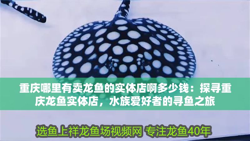 重慶哪里有賣龍魚的實體店啊多少錢：探尋重慶龍魚實體店，水族愛好者的尋魚之旅