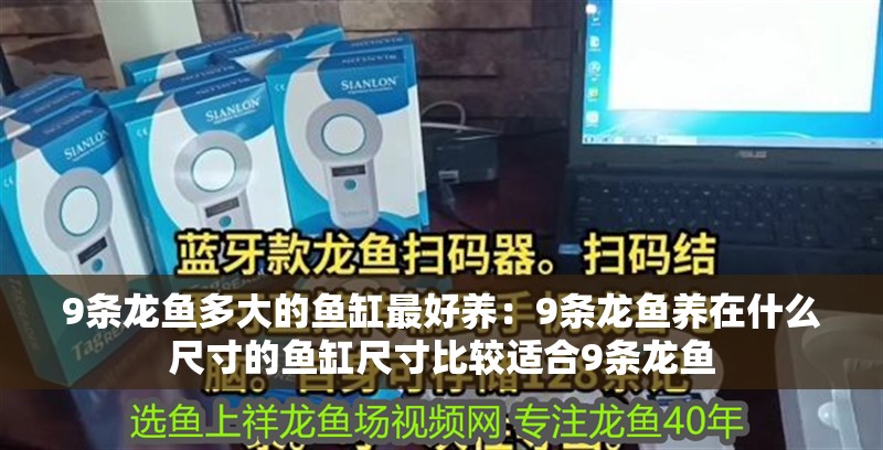 9條龍魚多大的魚缸最好養：9條龍魚養在什么尺寸的魚缸尺寸比較適合9條龍魚