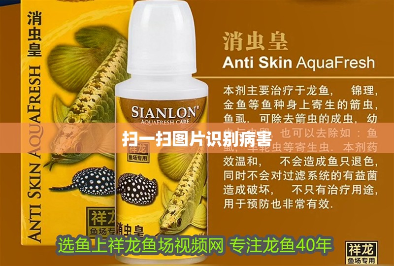 掃一掃圖片識(shí)別病害