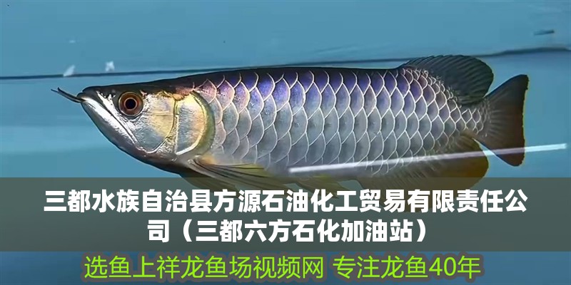 三都水族自治縣方源石油化工貿(mào)易有限責任公司（三都六方石化加油站）