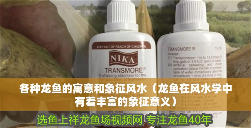 各種龍魚的寓意和象征風水（龍魚在風水學中有著豐富的象征意義） 各種龍魚的寓意和象征風水（龍魚在風水學中有著豐富的象征意義） 龍魚百科