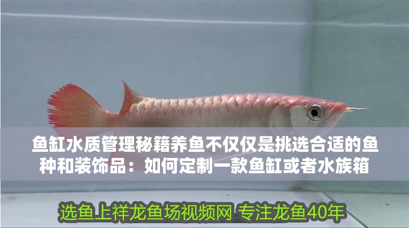 魚缸水質管理秘籍養魚不僅僅是挑選合適的魚種和裝飾品：如何定制一款魚缸或者水族箱