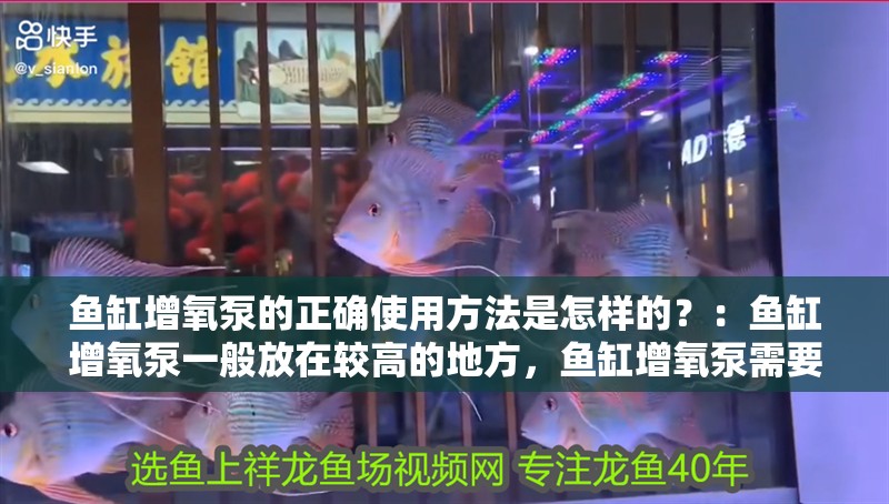 魚缸增氧泵的正確使用方法是怎樣的？：魚缸增氧泵一般放在較高的地方，魚缸增氧泵需要注意的地方 魚缸增氧泵的正確使用方法是怎樣的？：魚缸增氧泵一般放在較高的地方，魚缸增氧泵需要注意的地方 魚缸百科