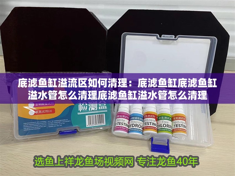 底濾魚缸溢流區如何清理：底濾魚缸底濾魚缸溢水管怎么清理底濾魚缸溢水管怎么清理 底濾魚缸溢流區如何清理：底濾魚缸底濾魚缸溢水管怎么清理底濾魚缸溢水管怎么清理 魚缸百科
