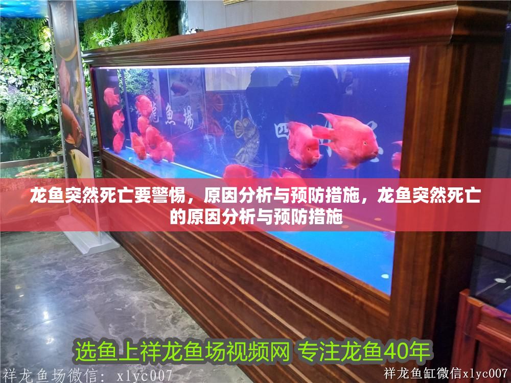 龍魚突然死亡要警惕，原因分析與預防措施，龍魚突然死亡的原因分析與預防措施 龍魚突然死亡要警惕，原因分析與預防措施，龍魚突然死亡的原因分析與預防措施 龍魚百科 第1張