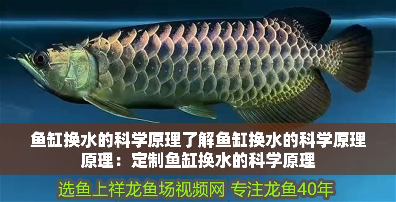 魚缸換水的科學原理了解魚缸換水的科學原理原理：定制魚缸換水的科學原理 魚缸換水的科學原理了解魚缸換水的科學原理原理：定制魚缸換水的科學原理 魚缸百科