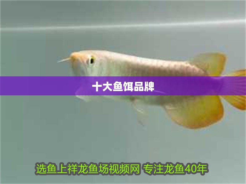 十大魚餌品牌 十大魚餌品牌 龍魚論壇