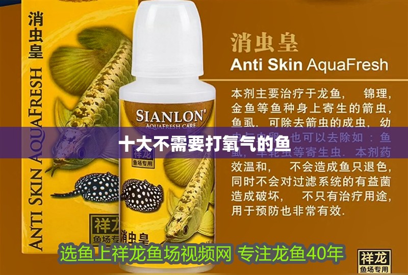 十大不需要打氧氣的魚 十大不需要打氧氣的魚 龍魚論壇