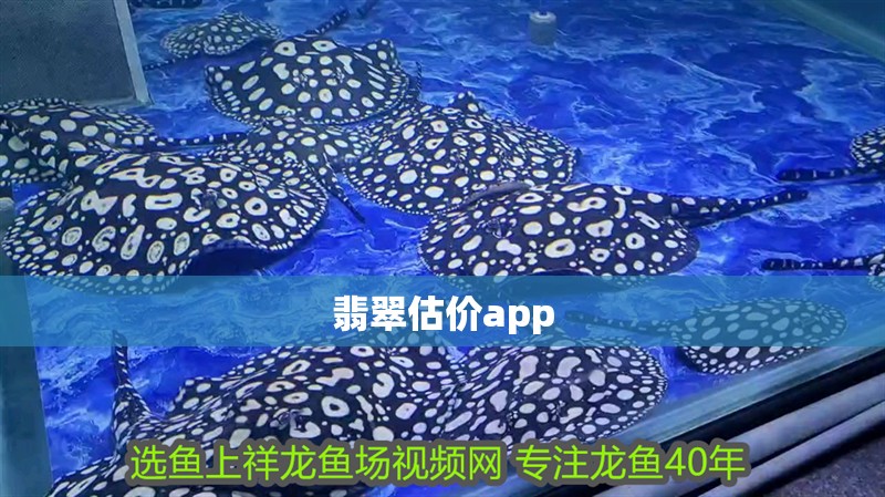 翡翠估價app