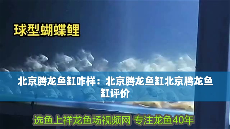 <strong><mark>北京</mark></strong>騰龍魚缸咋樣：<strong><mark>北京</mark></strong>騰龍魚缸<strong><mark>北京</mark></strong>騰龍魚缸評價