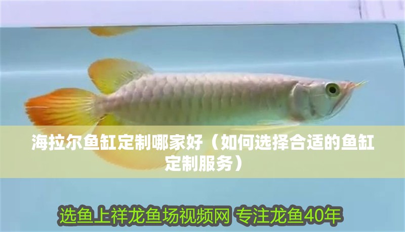魚(yú)缸過(guò)濾器選購(gòu)指南:自制魚(yú)缸過(guò)濾器魚(yú)缸上置過(guò)濾器對(duì)于養(yǎng)魚(yú)愛(ài)好者的必備知識(shí) 海拉爾魚(yú)缸定制哪家好(如何選擇合適的魚(yú)缸定制服務(wù)) 魚(yú)缸百科 海拉爾魚(yú)缸定制哪家好(如何選擇合適的魚(yú)缸定制服務(wù)) 海拉爾魚(yú)缸定制哪家好(如何選擇合適的魚(yú)缸定制服務(wù)) 魚(yú)缸百科
