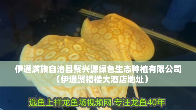 伊通滿族自治縣聚興源綠色生態種植有限公司（伊通聚福樓大酒店地址）