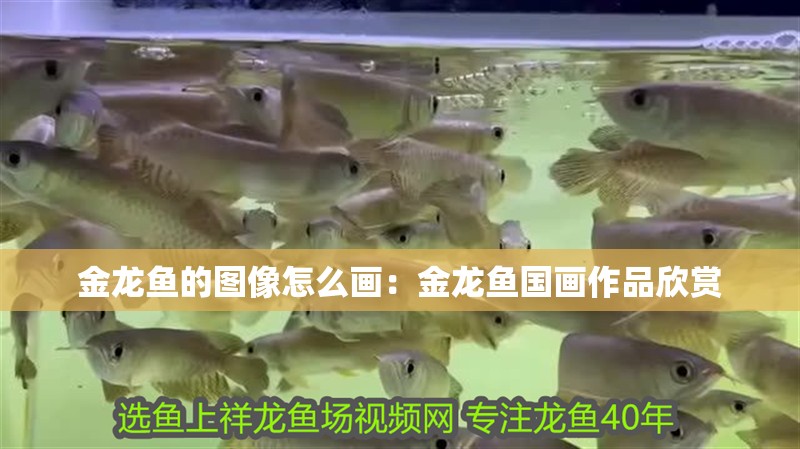 金龍魚的圖像怎么畫：金龍魚國畫作品欣賞