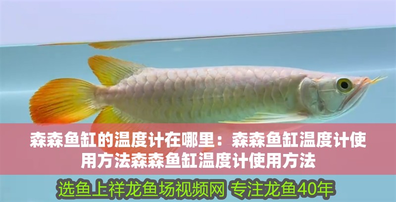 森森魚缸的溫度計(jì)在哪里：森森魚缸溫度計(jì)使用方法森森魚缸溫度計(jì)使用方法